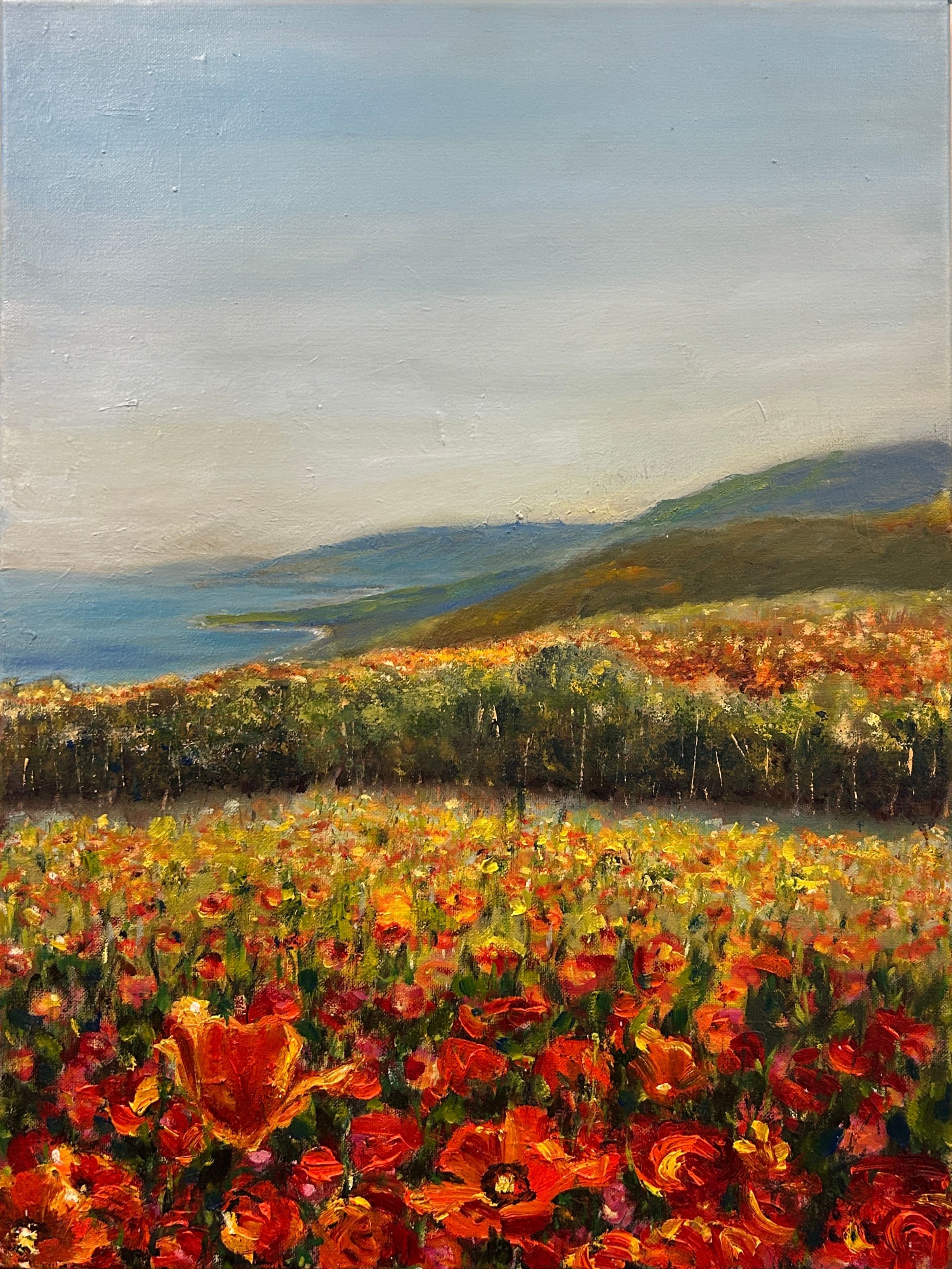 California Poppies